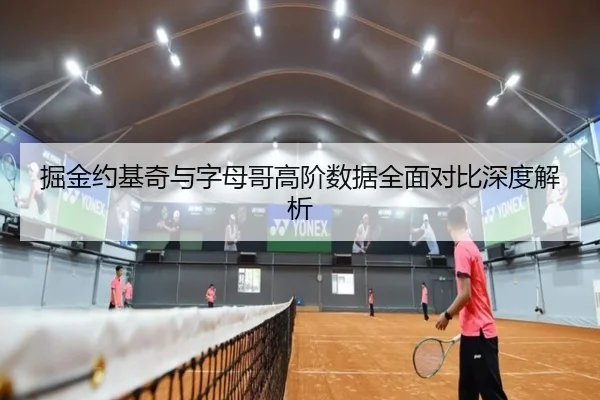 掘金约基奇与字母哥高阶数据全面对比深度解析