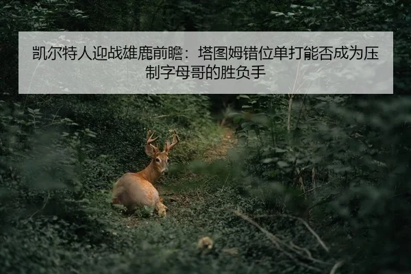 kai-er-te-ren-ying-zhan-xiong-lu-qian-zhan-ta-tu-mu-cuo-wei-dan-da-neng-fou-cheng-wei-ya-zhi-zi-mu-ge-de-sheng-fu-shou-2-289.jpg