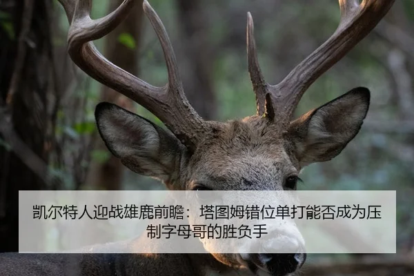 凯尔特人迎战雄鹿前瞻：塔图姆错位单打能否成为压制字母哥的胜负手